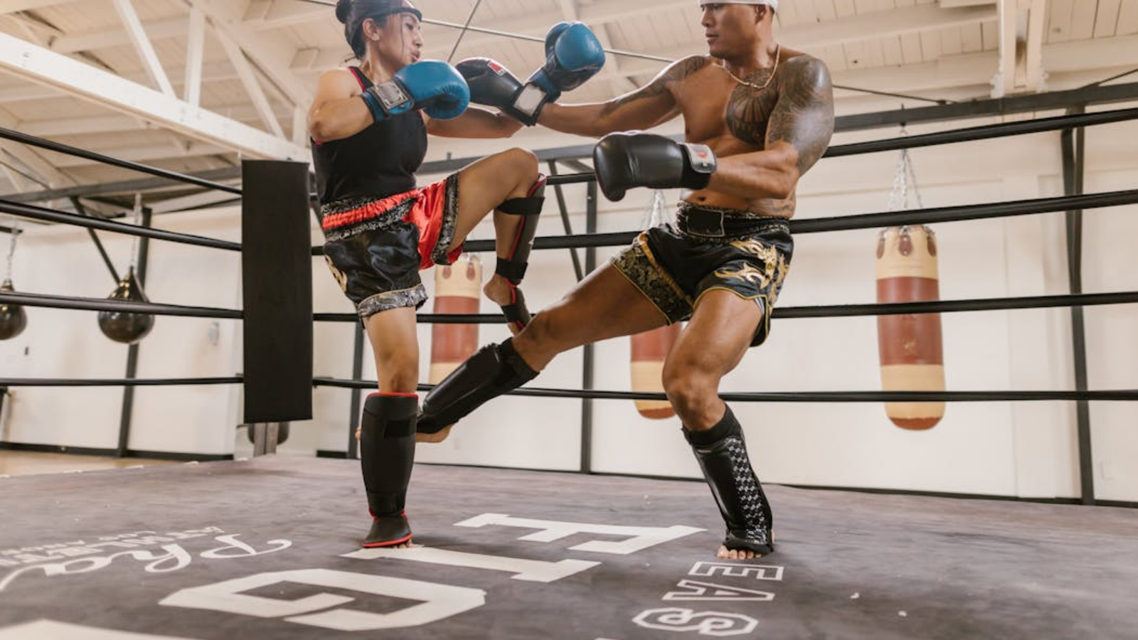 Alle regels van kickboksen