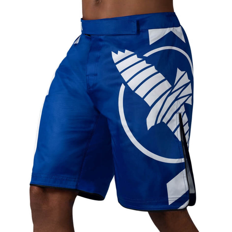 Hayabusa Icon Fight Shorts - Blau / Weiß