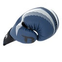 Booster Boxhandschuhe - Bangkok Series 4 - Blau / Silber