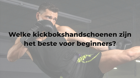 Welke kickbokshandschoenen zijn het beste voor beginners?
