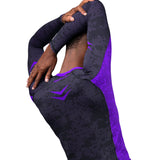 Hayabusa Arrow Ranked Langarm Rashguard - Lila