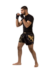 Hayabusa Falcon Muay Thai Shorts - Schwarz