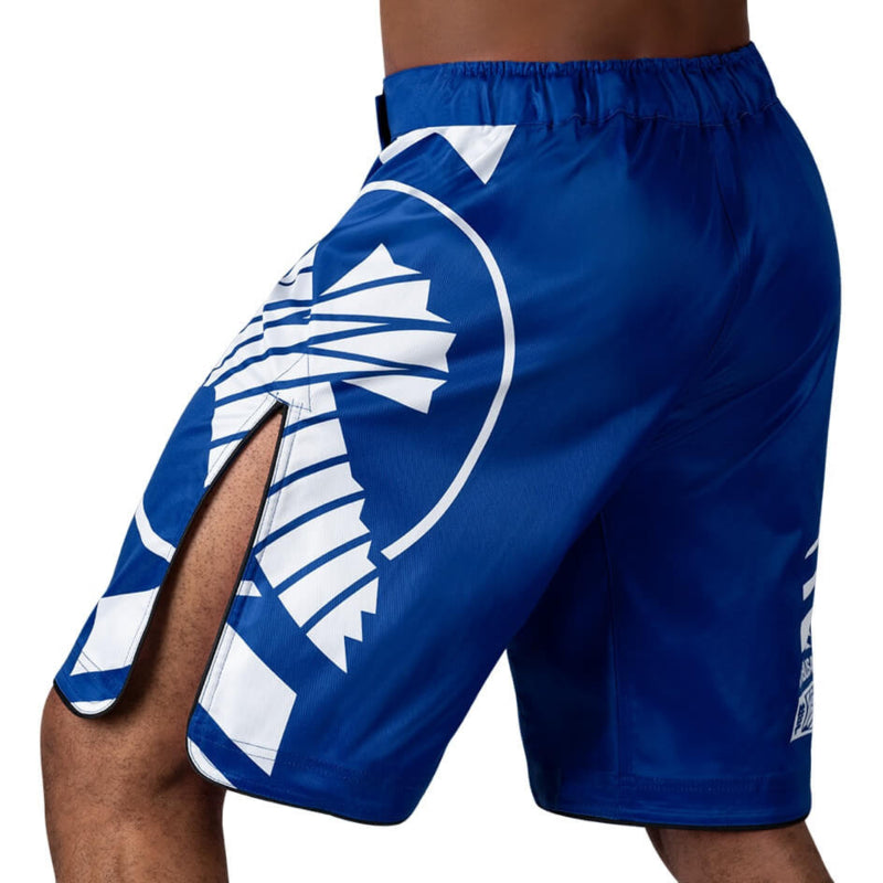 Hayabusa Icon Fight Shorts - Blau / Weiß