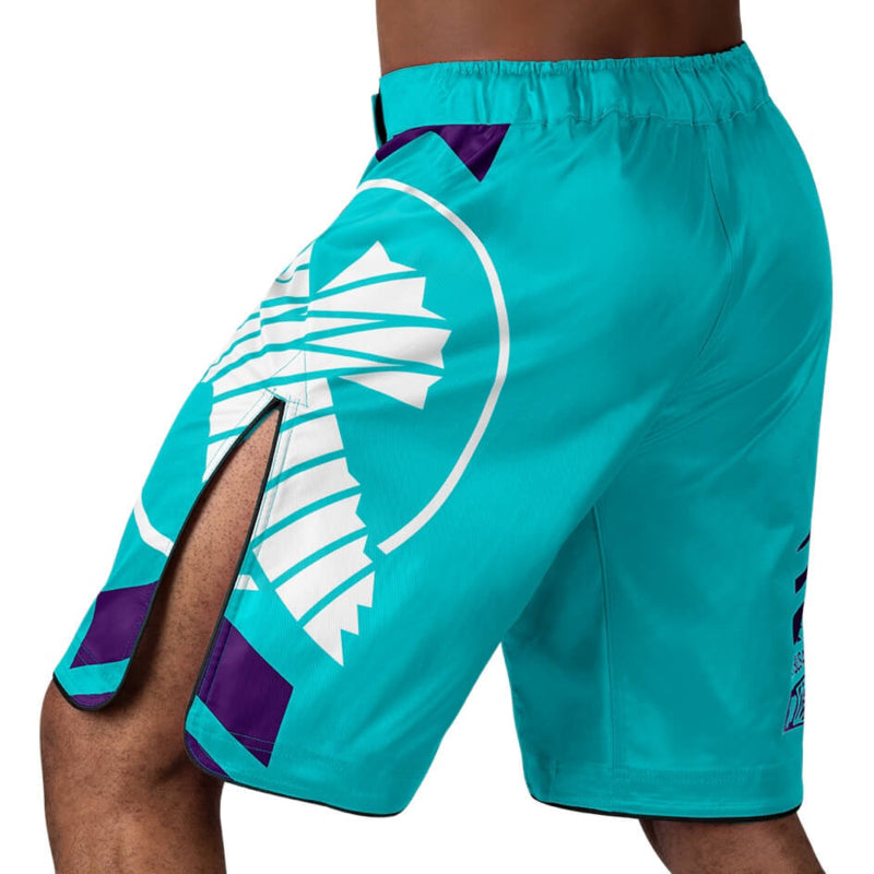 Hayabusa Icon Fight Shorts - Teal / Weiß