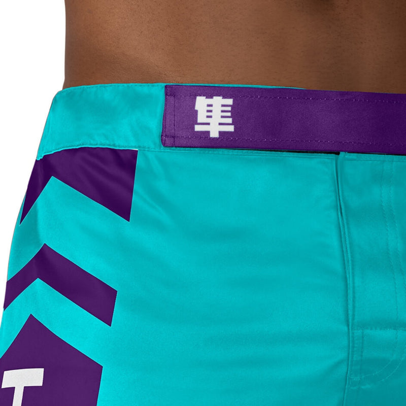 Hayabusa Icon Fight Shorts - Teal / Weiß
