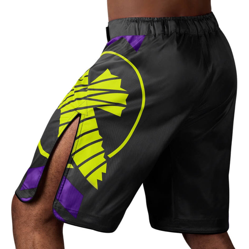 Hayabusa Icon Fight Shorts - Schwarz / Neon