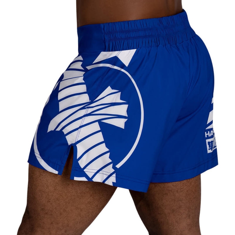 Hayabusa Icon Kickboxing Shorts - Blau / Weiß