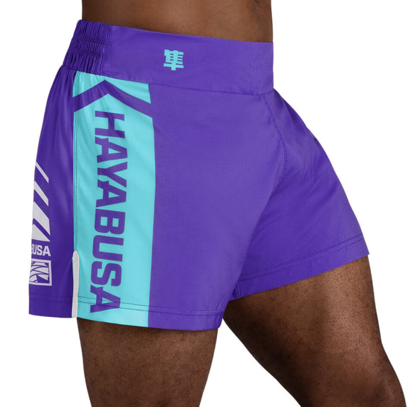 Hayabusa Icon Kickbox-Shorts - Lila / Weiß