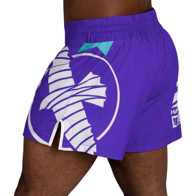 Hayabusa Icon Kickbox-Shorts - Lila / Weiß